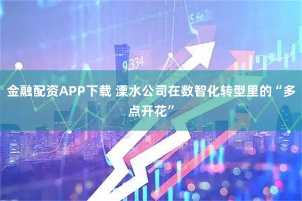 金融配资APP下载 溧水公司在数智化转型里的“多点开花”