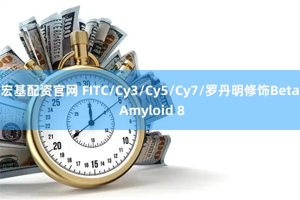 宏基配资官网 FITC/Cy3/Cy5/Cy7/罗丹明修饰Beta Amyloid 8