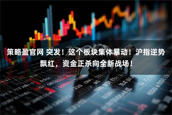 策略盈官网 突发！这个板块集体暴动！沪指逆势飘红，资金正杀向全新战场！