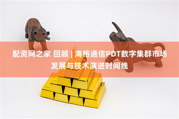 配资网之家 回顾 | 海格通信PDT数字集群市场发展与技术演进时间线