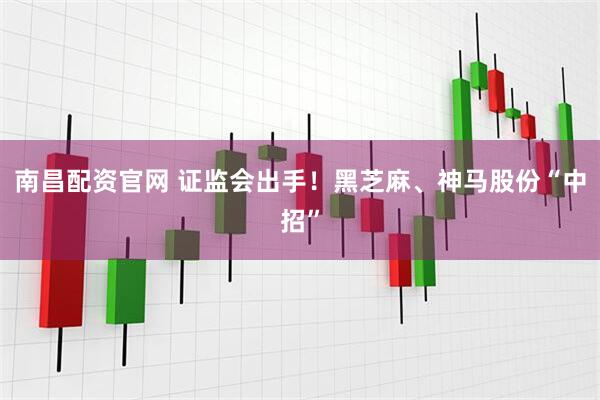 南昌配资官网 证监会出手！黑芝麻、神马股份“中招”